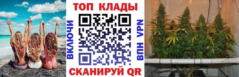 Купить наркотик аптеки Суворов Бошки Шишки  МЕФ  Кокаин  ГАШ 