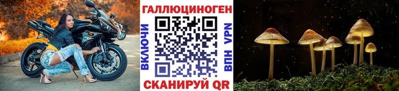 продажа наркотиков  Суворов  Псилоцибиновые грибы мухоморы 